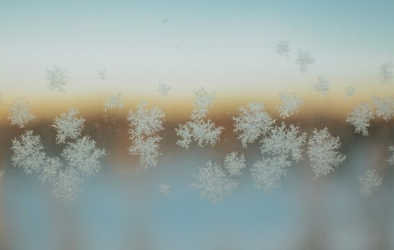 Snowflake pattern on window close-up in frosty winter early morning at dawn.