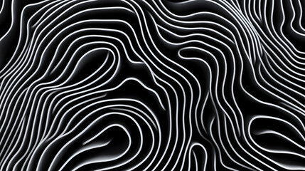 This image depicts a minimalist abstract topographic surface composed of flowing white lines.