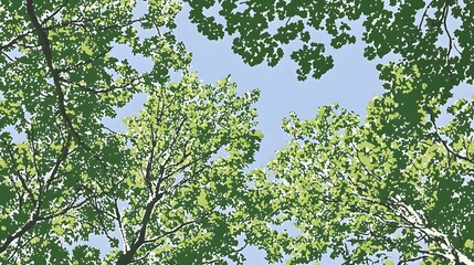 Obraz premium Vibrant Green Tree Canopy Under Clear Blue Sky in a Serene Natural Setting