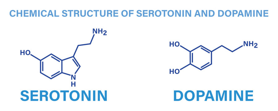 Chemical structure of serotonin and dopamine in blue color outline style isolated on white background.