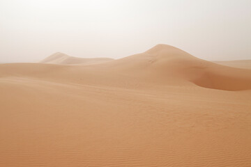 Sanddünen in der Sahara