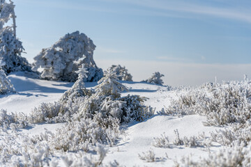 A sunny day illuminates a beautiful frozen landscape. Frosted trees stand tall, while glistening snow blankets the ground, creating a serene winter wonderland.