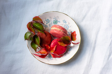 French fruity macaroons in red and pink.