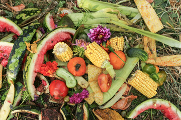 Compost pile heap outdoors in garden closeup. Bio waste, vegetables and fruits food scraps...