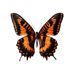 Obraz premium Bright orange and black butterfly with complex patterns on wings, isolated on transparent background, png