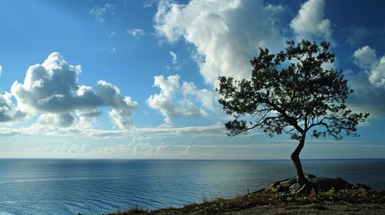 Sea, tree, Sky, view all this photo