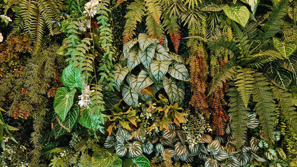 Green creeper plant, fern, orchid, vine or ivy and leaves wall for background. Natural wallpaper or...