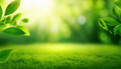 Obraz premium fresh green nature background