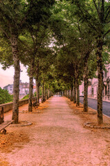 harming Tree-Lined Pathway in Angoulême, France