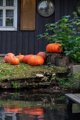 Autumn in Spreewald, Germany