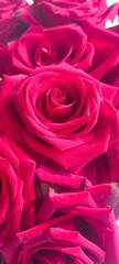 Bouquet of red roses, red rose