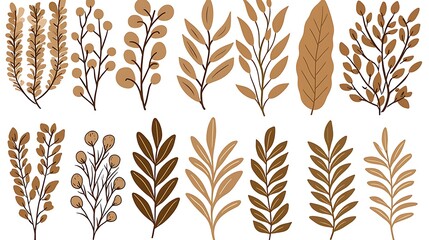 Beige botanical branches, foliage, isolated on white. Simple, neutral background for design & decoration