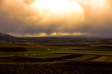 Fototapeta premium agricultural colorful and different fields under sky
