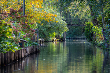 Obraz premium Hiking path in Spreewald, Germany