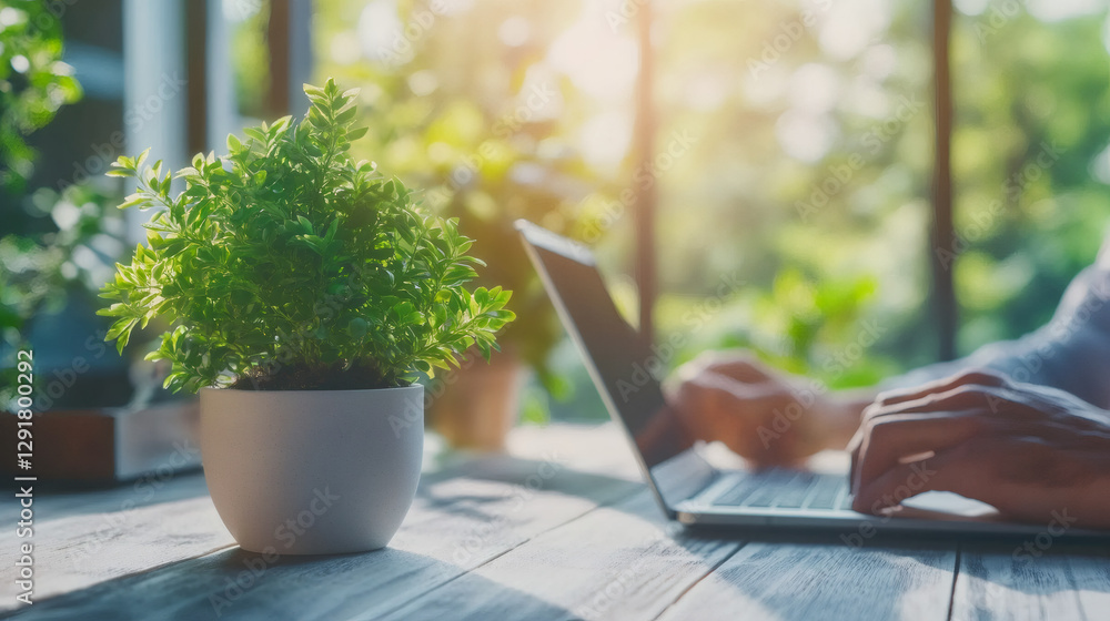 Poster hands typing on laptop keyboard with houseplant on desk and green garden in background, working remo