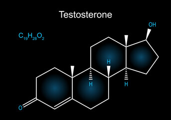 Fototapeta premium Testosterone molecule. Skeletal chemical formula of male sex hormone