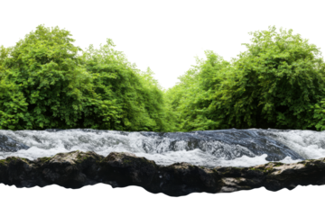 River flowing through a lush forested area, cut out