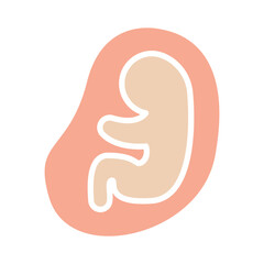 Ultrasound icon in flat color style