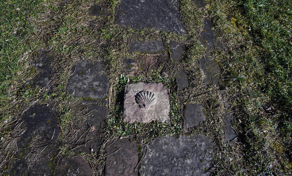 Das Pilger- und Wegezeichen der Jakobsmuschel auf dem Jakobsweg an der Klosterruine W&ouml;rschweiler im Saarland