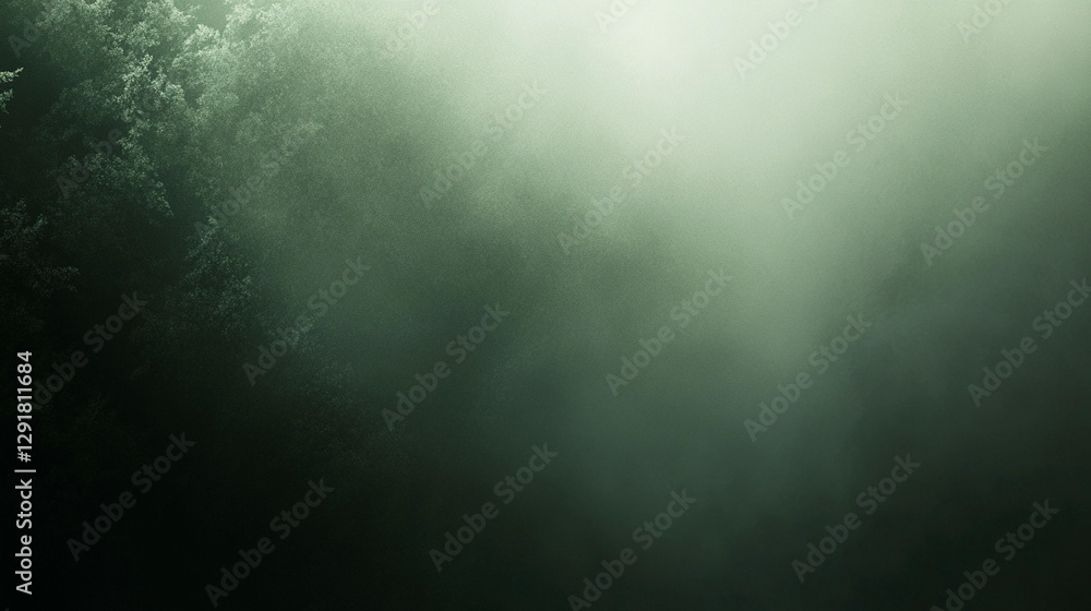 Poster mysterious foggy forest scene with sunlight filtering through dense trees.