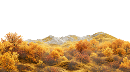 autumn landscape in the mountains