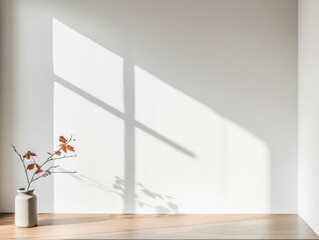 Natural light creates shadows and highlights in a minimalist indoor space with a plant