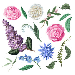 Camelia flowers, lilac, liley of valey and other flowers. Vector.