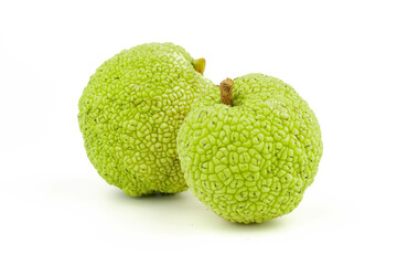 Maclura Orange exotic fruit on white background