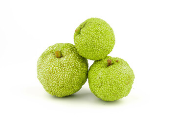 Maclura Orange exotic fruit on white background