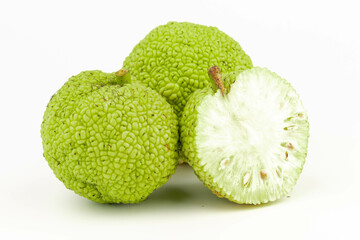 Maclura Orange exotic fruit on white background