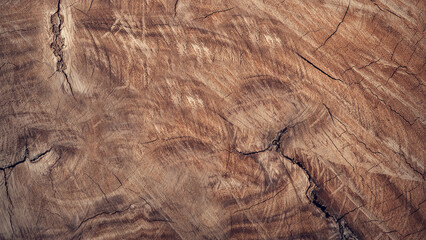  wooden texture and rustic background