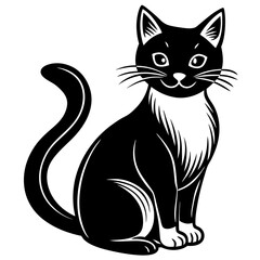 black and white cat