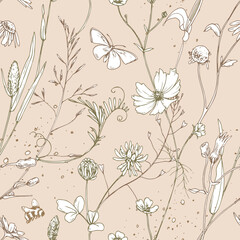 Field, meadow, wild flowers and herbs cosmos, chamomile, clover and insects. Line art is a simple hand-drawn illustration in beige, ochre, brown ink. Seamless pattern on a pink background vector EPS © NATASHA-CHU