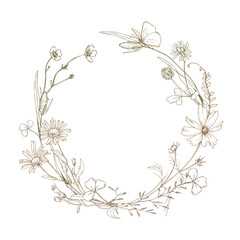 Field, meadow, wild flowers and herbs cosmos, chamomile and butterfly. Line art is a simple hand-drawn illustration in beige, ochre, brown ink. Circle wreath frame vector EPS © NATASHA-CHU