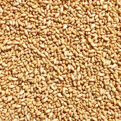 Fototapeta premium Close up of wheat grains