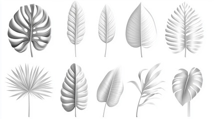 Fototapeta premium Set of various grayscale tropical leaves.