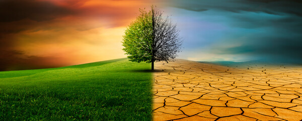 Baum in einer imaginären landschaft im Klimawandel von Dürre zu Grünem Wachstum