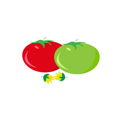 red tomato with green tomato vectors icon.