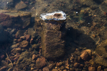 A frozen stone in the river. A stone sticking out of the water, covered with ice