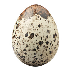 A quail egg