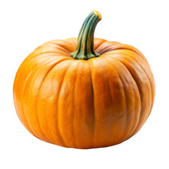 Obraz premium pumpkin isolated on white background