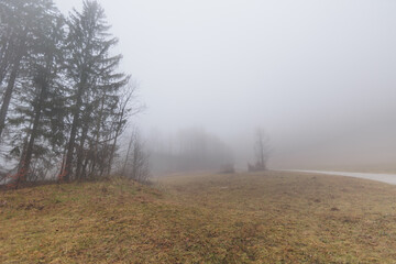 panoramica su varie foreste con alberi spogli, in un ambiente naturale tra le alte colline della Slovenia, avvolte da una fitta nebbia, di giorno, in inverno