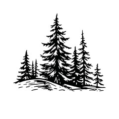 Serene Evergreen Forest: A Monochrome Ink Drawing