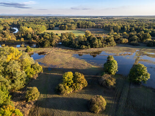 Naklejka premium Sunset landscape flooded river water reflection meadow autumn aerial drone view trees shadows horizon protected area Soutok Lanžhot Břeclav Czech Republic