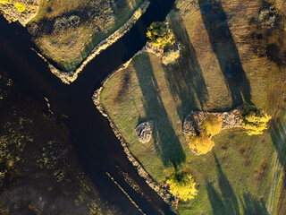Sunset aerial drone landscape trees shadows abstract pattern flooded meadow water reflection river autumn protected area Soutok Lanžhot Břeclav Czech Republic