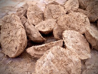 Dung cake landscape mode image keeping in sun shine for making dry 