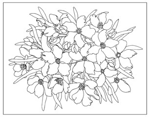 Fototapeta premium Hand drawn outlined floral arrangement. Small oleander flowers and leaves tightly packed together. Floral illustration for coloring page, decoration, tattoo, embroider