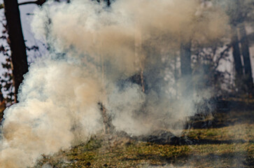Misty smoke curling upward from a fading campfire in a tranquil field at sunrise