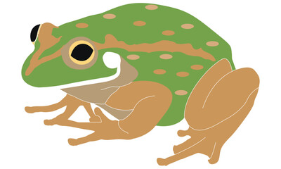 funny frog outline vector illustration coloring