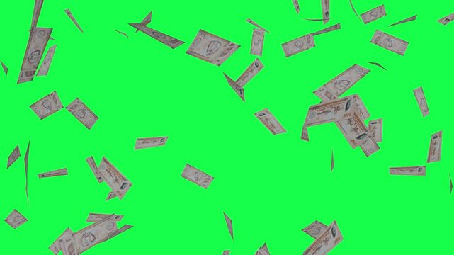 United Arab Emirates UAE Dirham AED Money Rain Green Screen Animation Chromakey Alpha Channel